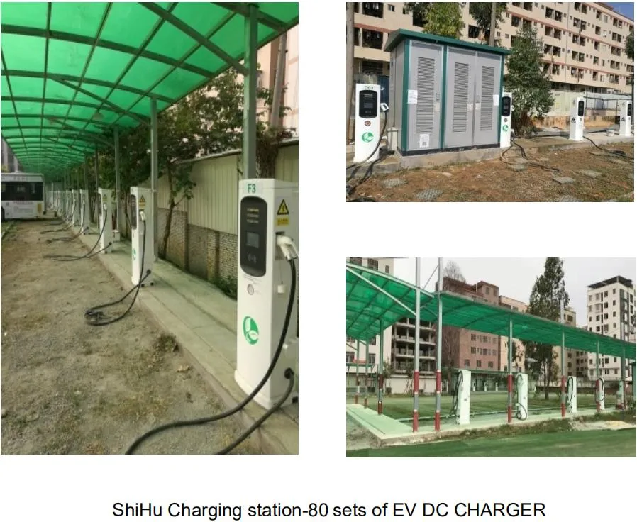 EV Charging Station 50 100 200 Kw EV Charger CCS2&1 GB/T Electric Vehicle Charger