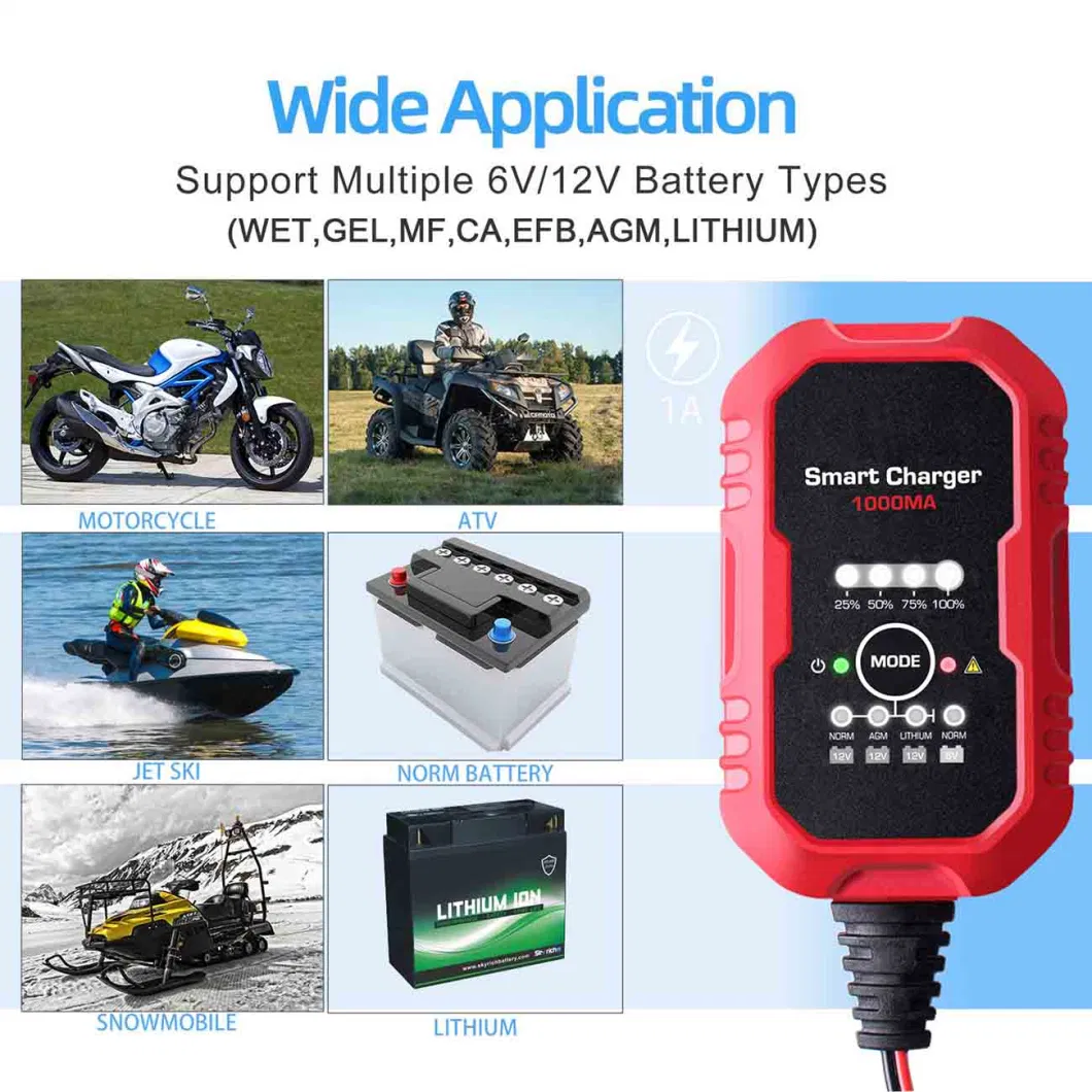 Car 12V 24V Portable Booster 10A Motorcycle for AA USB 3.6V 30A Truck 9V 48V 100A Lithium Rechargeable 72V Battery Charger