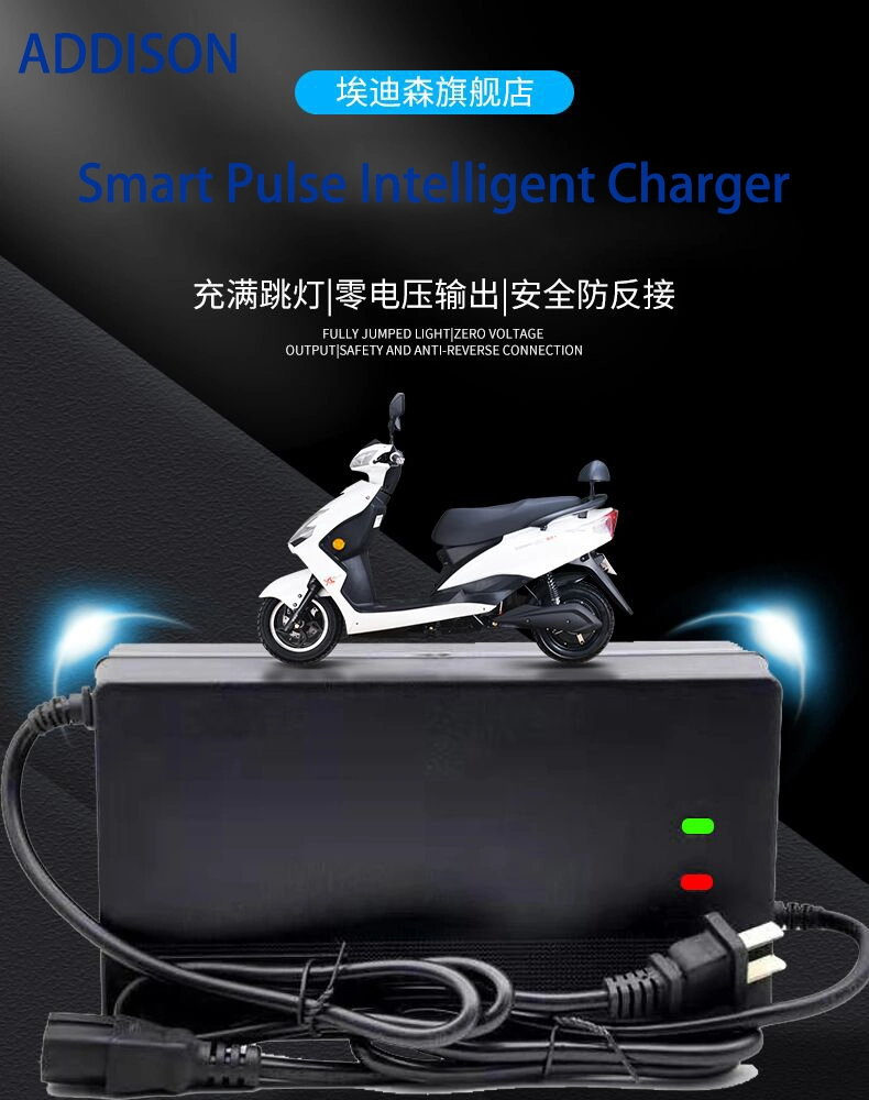 LiFePO4 Battery Chargers with LED Light Charging for E-Vehicle Motorcycle