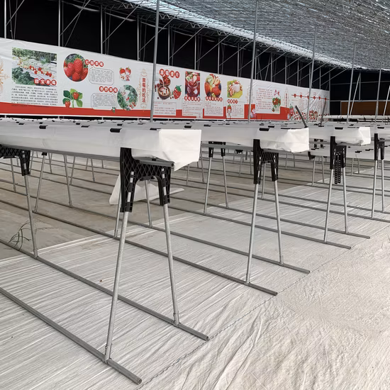 Topdon Factory Supply Js3000 3000A 24000mAh 12V Multi